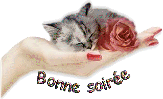 Bonne soirée